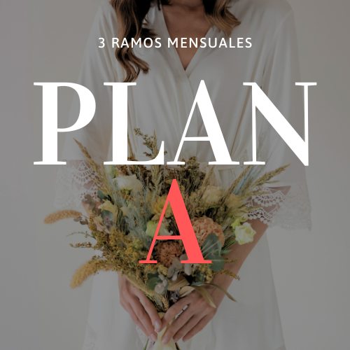 Suscripción Plan A